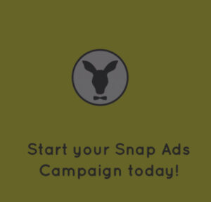 snapchat ads campaign