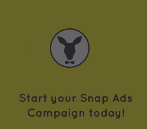 Wallaroo Blog Tiles SnapchatUsers